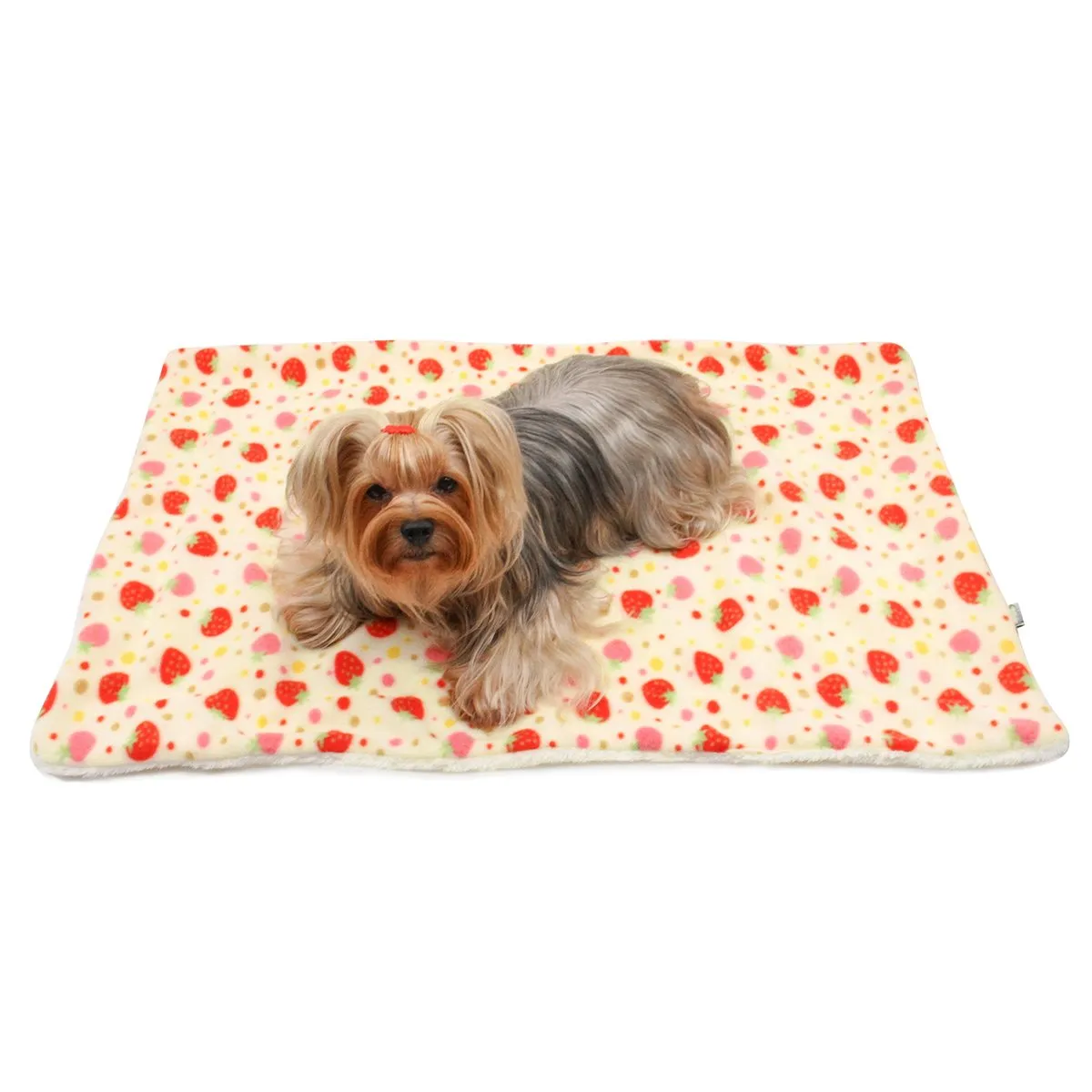 Yummy Strawberry Flannel Dog Blanket